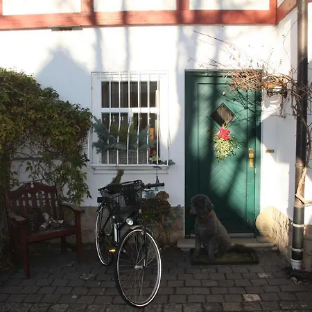 Goethes Gartenwohnung - A48046 Apartman